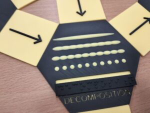 Carbon cycle detail image 3