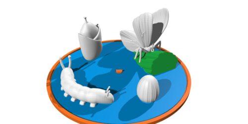 On top of a disk there are four models, each representing a butterfly