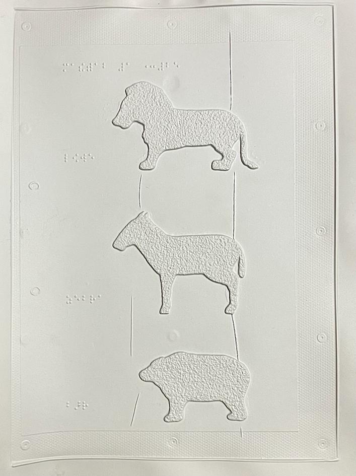 Three animals in side view. This illustration is not suitable for blind pupils.